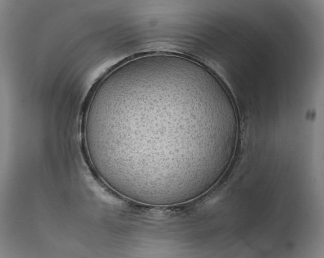 X0000111350987200907241154