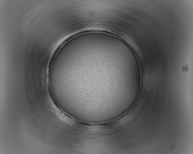 X0000111350988200907241154