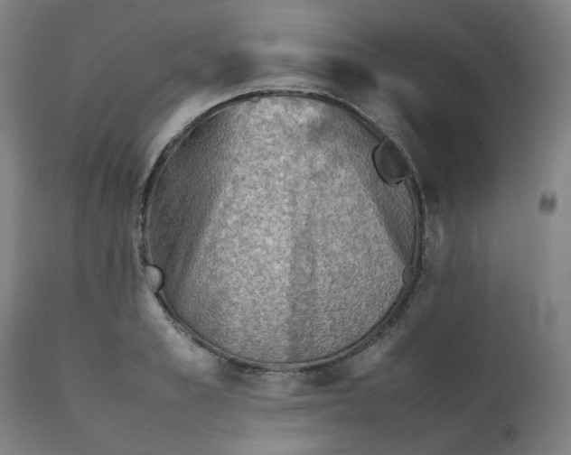 X0000111350989200907241154