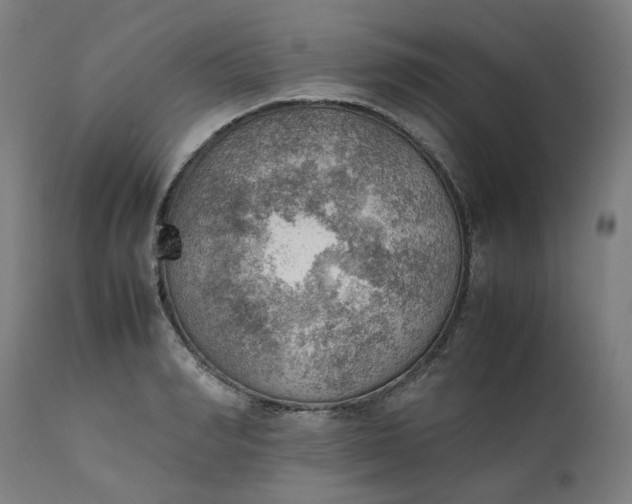 X0000111350990200907241154