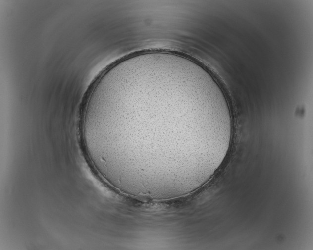 X0000111350991200907241154