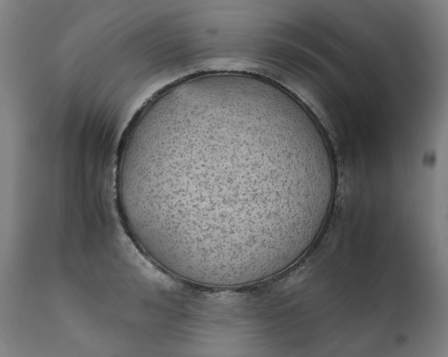 X0000111350992200907241154