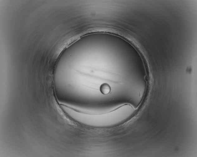 X0000111350993200907241154