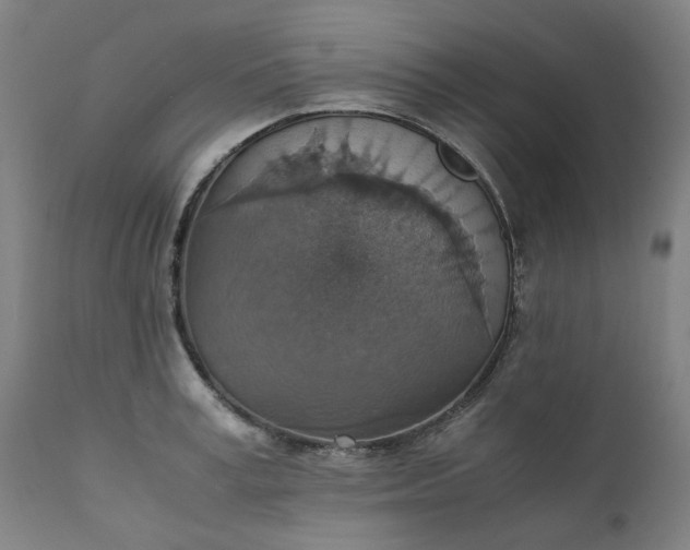 X0000111350995200907241154