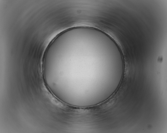 X0000111350996200907241154