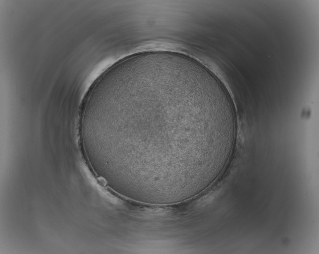 X0000111350997200907241154