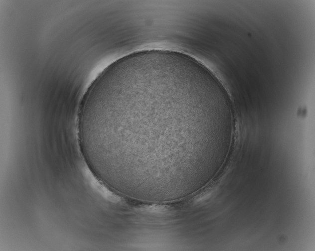 X0000111350998200907241154