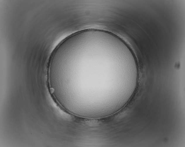 X0000111350999200907241154