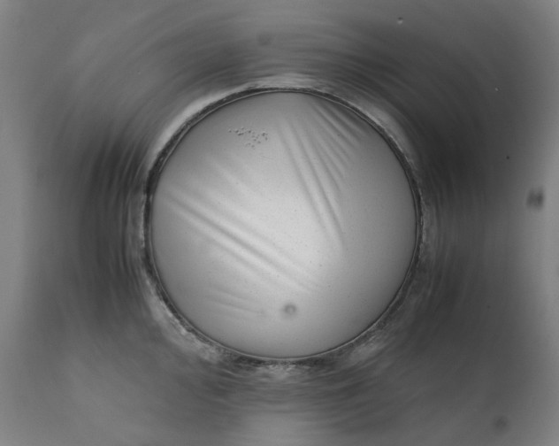 X0000111351000200907241154