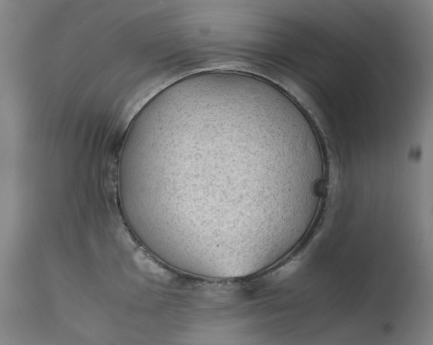 X0000111351001200907241154