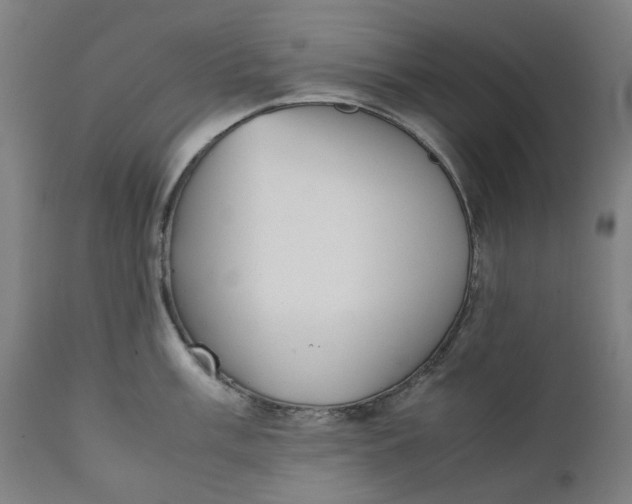 X0000111351003200907241154