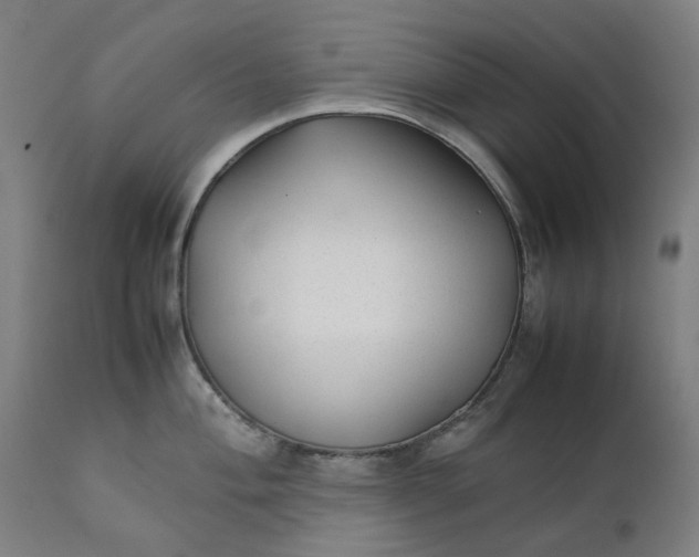 X0000111351004200907241154