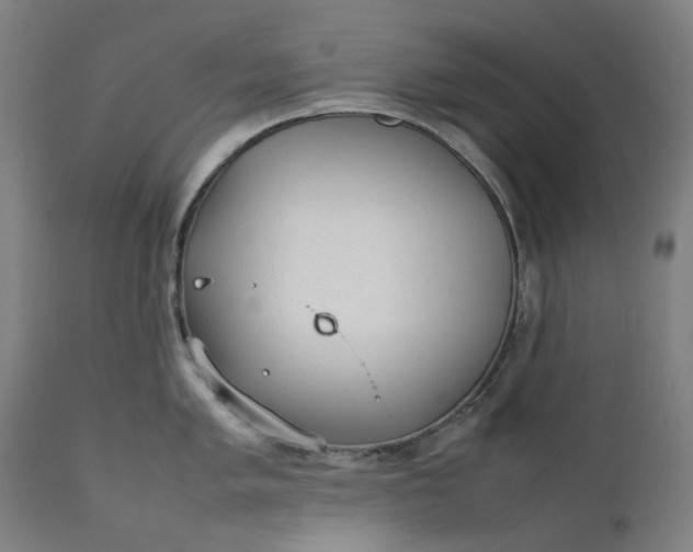 X0000111351005200907241154