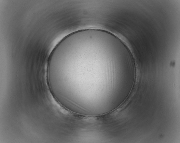 X0000111351006200907241154