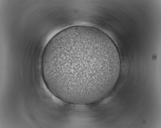 X0000111351007200907241154