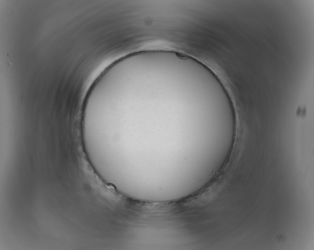 X0000111351008200907241154