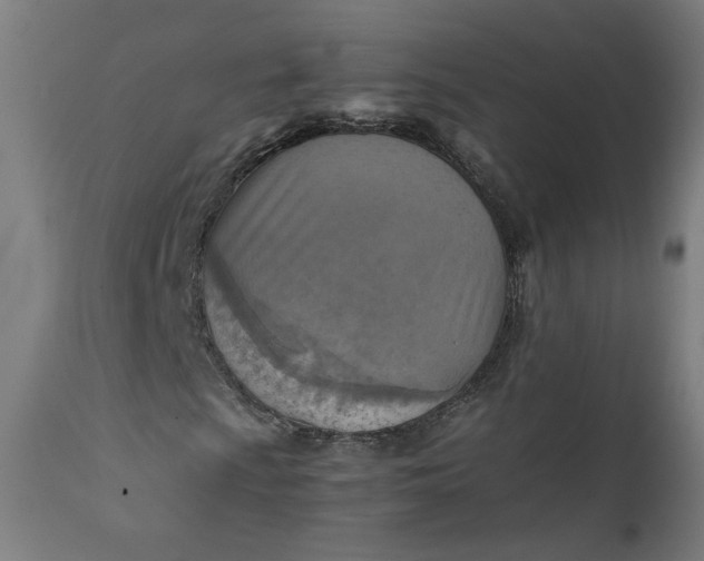 X0000111351009200907241153