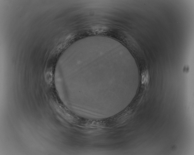 X0000111351011200907241153