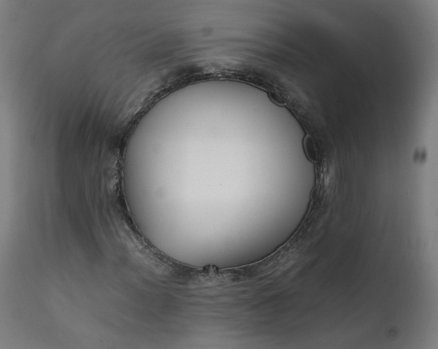 X0000111351012200907241153