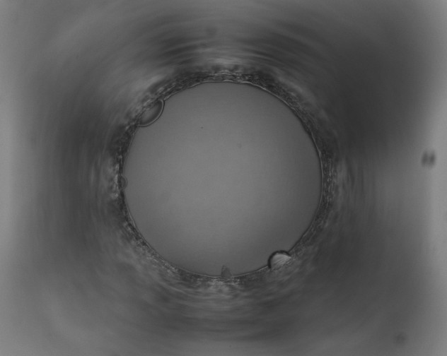 X0000111351013200907241153