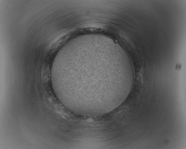 X0000111351014200907241153