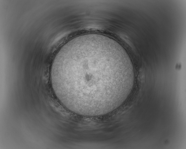 X0000111351015200907241153