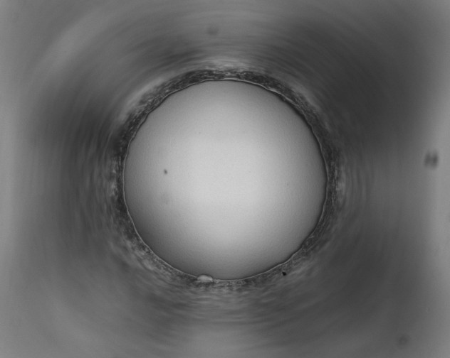 X0000111351016200907241153