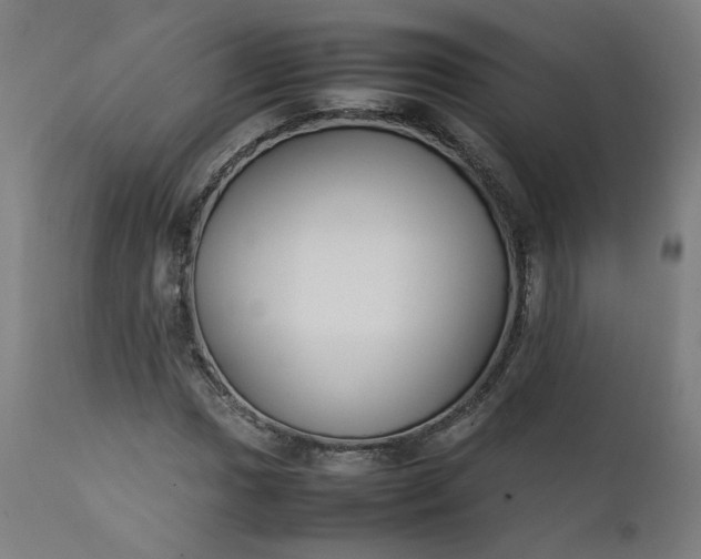 X0000111351017200907241153