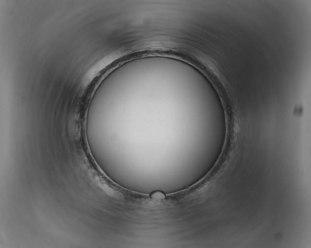 X0000111351018200907241153