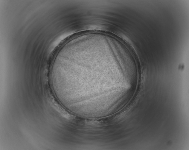 X0000111351019200907241153