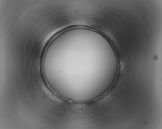 X0000111351020200907241153