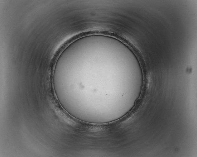 X0000111351021200907241153