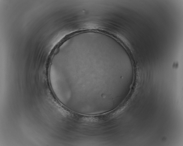 X0000111351023200907241153