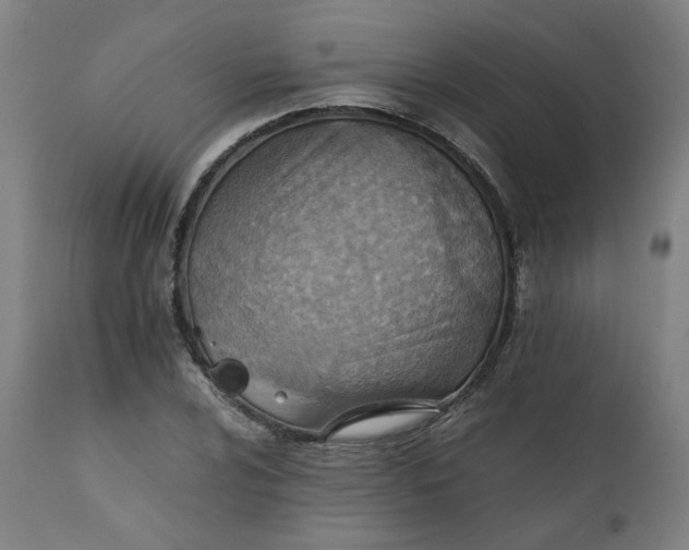 X0000111351024200907241153