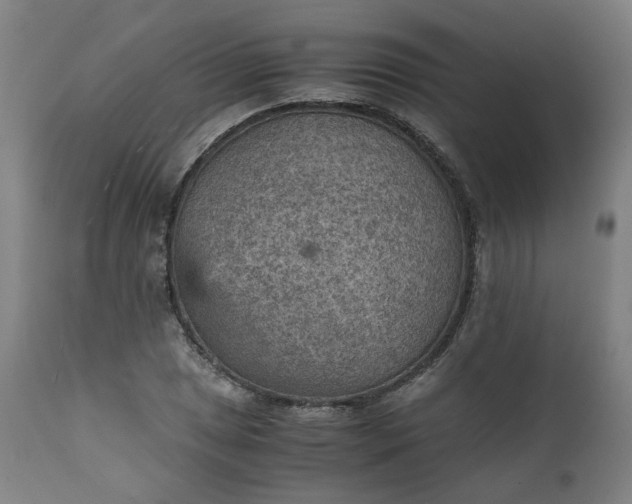 X0000111351025200907241153