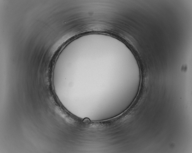 X0000111351026200907241153