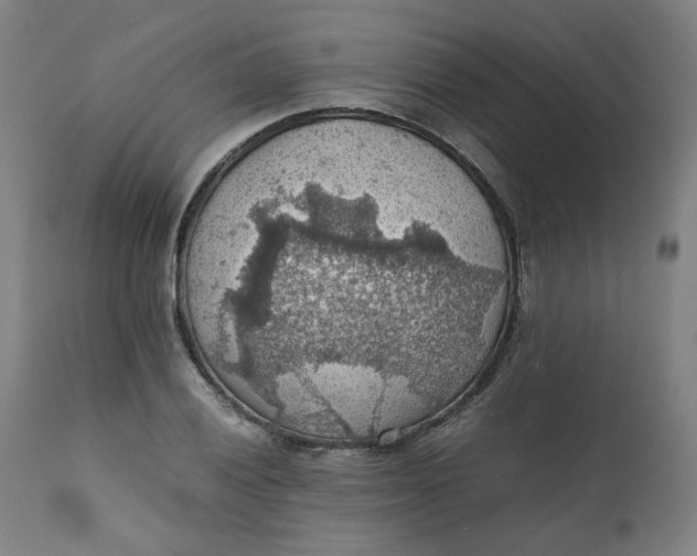 X0000111351028200907241153