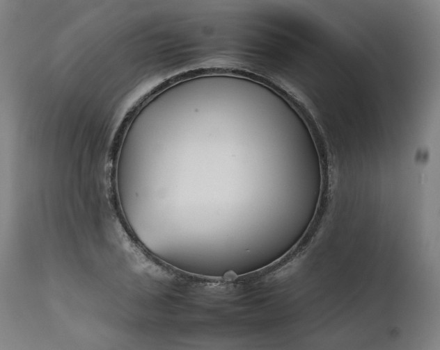 X0000111351029200907241153