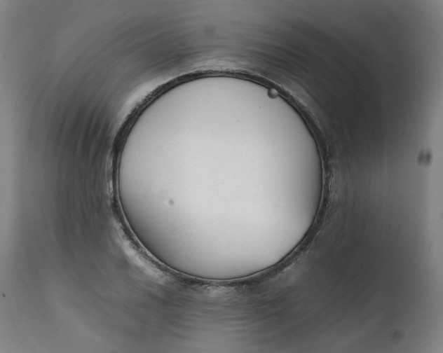 X0000111351030200907241153