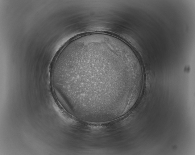 X0000111351031200907241153