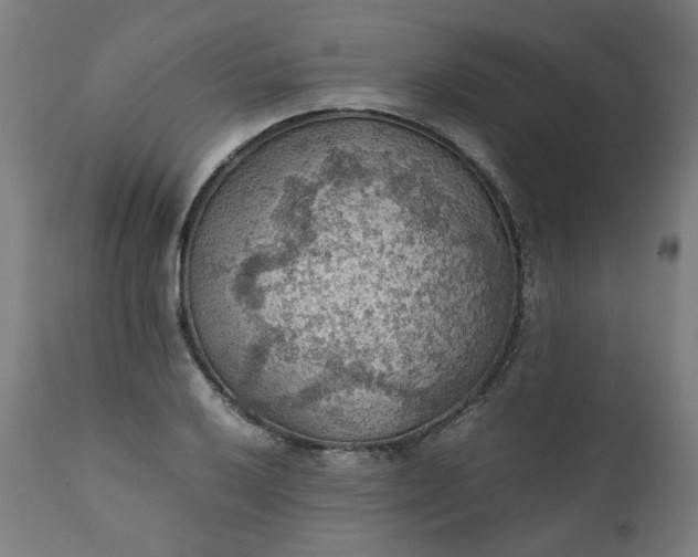 X0000111351032200907241153