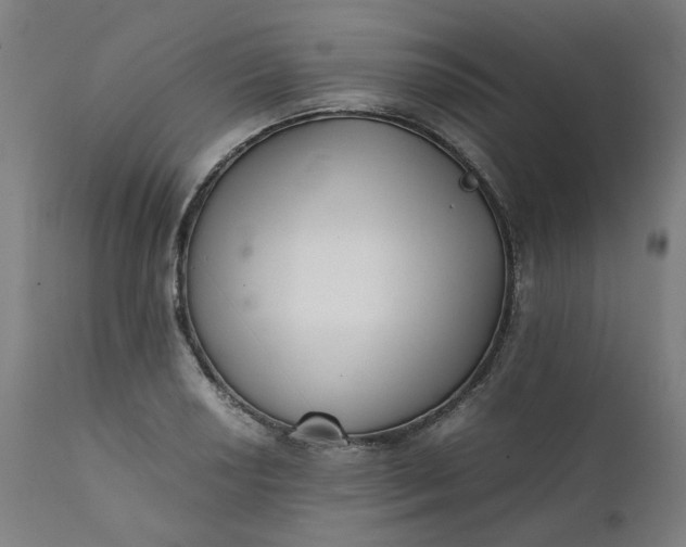 X0000111351034200907241153