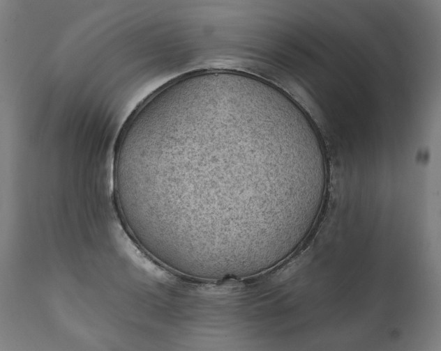 X0000111351036200907241153