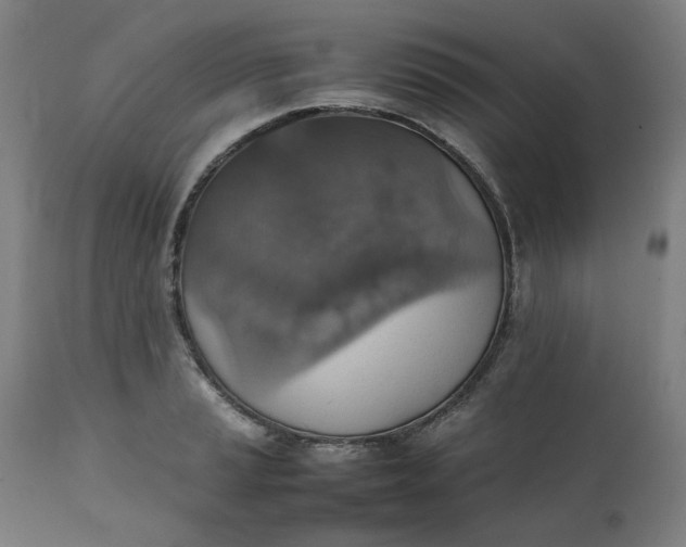 X0000111351037200907241153