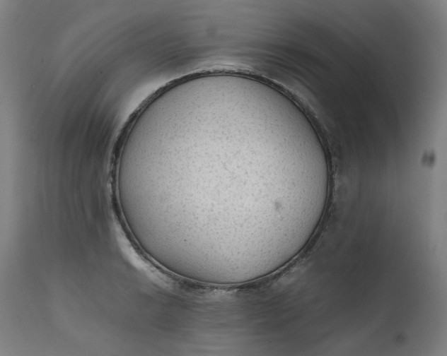 X0000111351038200907241154