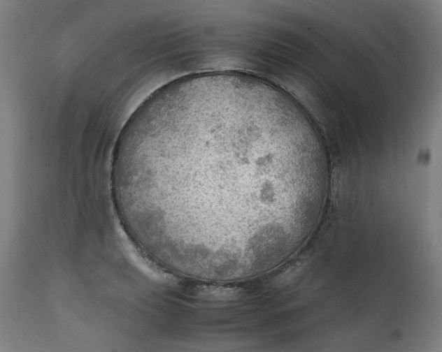 X0000111351039200907241154