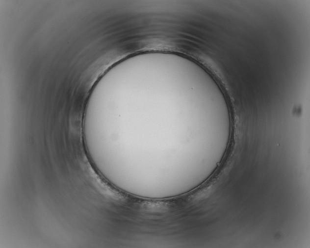 X0000111351041200907241154