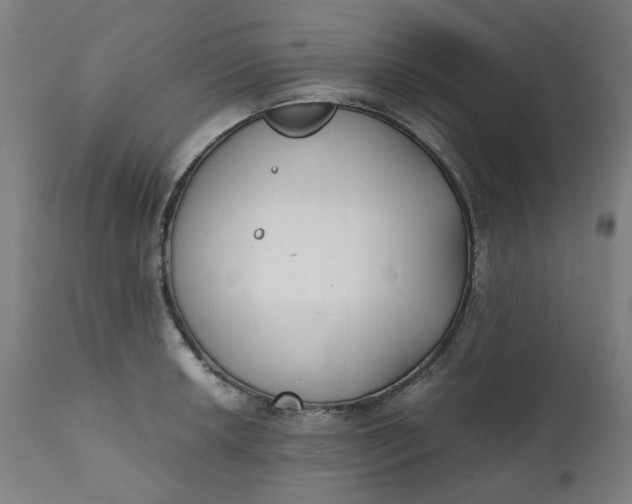 X0000111351042200907241154