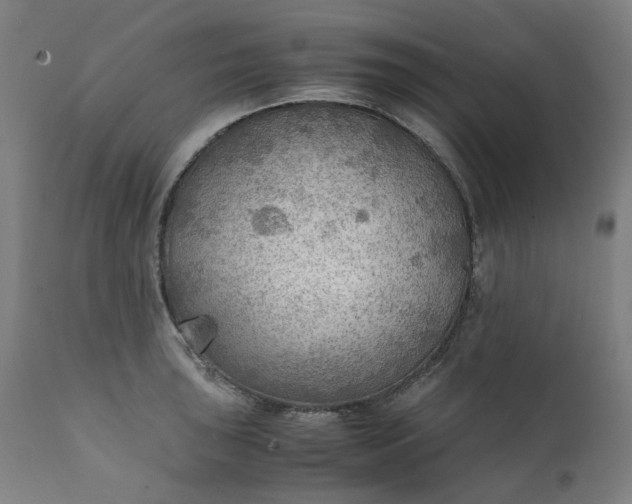 X0000111351043200907241154