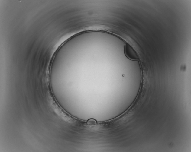 X0000111351044200907241154